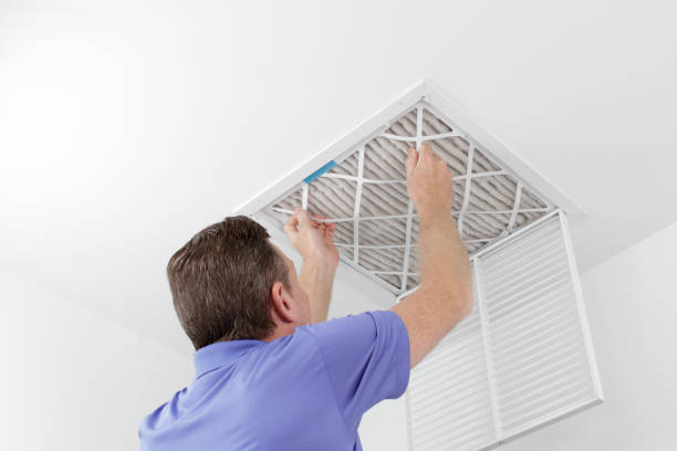 Best Air Duct Mold Removal  in Potterville, MI